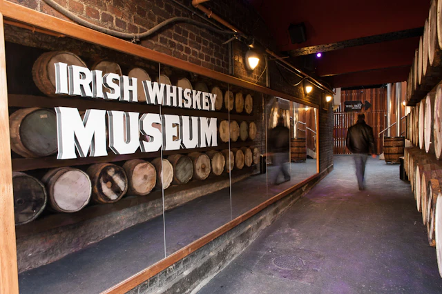 Irish Whiskey Museum ticket visit photo